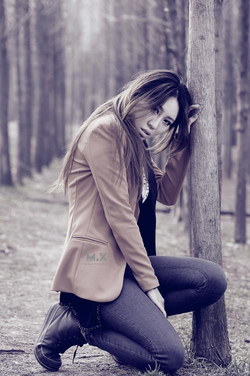 应用安装步骤示意图